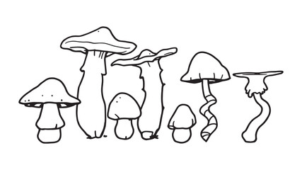 Shimeji mushroom line art simple elegant design