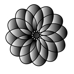 Fototapeta premium Abstract Grayscale Floral Design with Circular Petal Arrangement