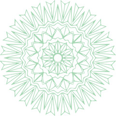 Beautiful flower art and mandala vector design