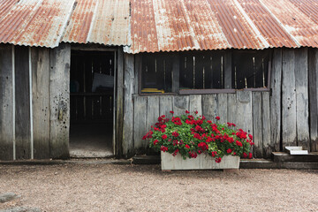 Old rustic shed with a rusty tin roof in the country