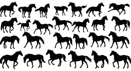 Fototapeta premium Equine Elegance: A Silhouette Symphony