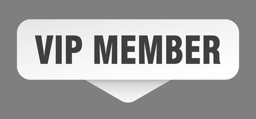 vip member sticker. vip member sign isolated on gray background