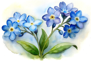 Fototapeta premium Beautiful spring flowers, showcasing purple and white blooms, are isolated against a serene blue background, a lovely display of floral nature