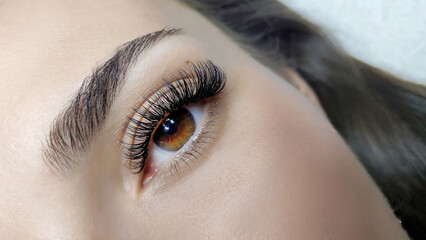Close up of female eye with eyelash extensions ,eyelash extension procedure.2