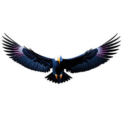 Fototapeta premium Majestic bird of prey soars with its expansive wings spread against a stark black background