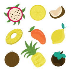 Tropical fruits collection. Mango, coconut, lemon, pineapple, dragon fruit, pitaya, mangosteen, pitahaya. Vector illustrations of exotic fruits set