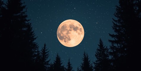 Majestic Full Moon Illuminating Starry Night Sky Over Forest Trees