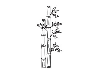 Bamboo line art vector illustration