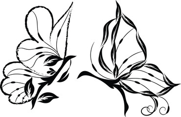 Obraz premium Two Elegant Black and White Butterfly Floral Designs