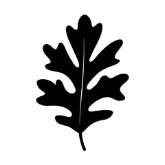 Leaf nature foliage vector illustration