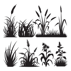 Assortment of grass silhouettes collection