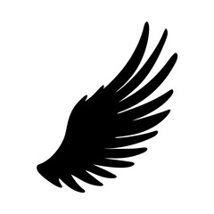 Wing bird feather vector illustration