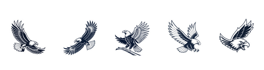 Eagle vector art illustrations. Eagle head clipart. Black eagle logo vector.