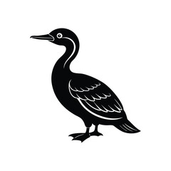 Obraz premium Baby Double Crested Cormorant Bird icon vector illustration isolated on white background