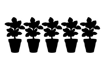 House Plant in a Pot Black Silhouette Icons Vector Illustration