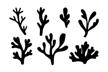 Reminiscent of Coral or Underwater Plants Vector Illustration