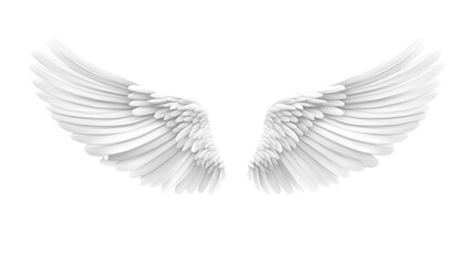 Obraz premium Majestic Pair of White Angel Wings Isolated on Black Background, Perfect for Design Elements or Spiritual Imagery