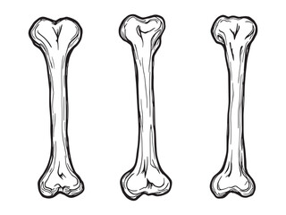 Ghoul Bone line art vector illustration