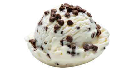 a scoop of ice cream with chocolate chips on top
