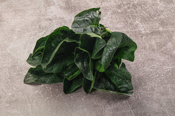 Ripe green spinach leaves heap