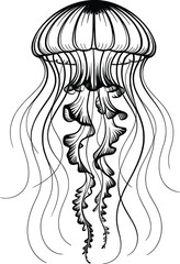 Elegant Jellyfish Line Art, Intricate Black Sea Creature Vector Illustration.