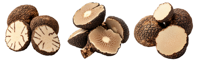 Set of Bianchetto truffles isolated on white transparent background, great for culinary and gourmet themes.