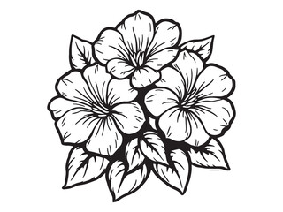 Impatiens line art vector illustration