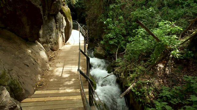 Nature Reserve The Banias river by the hermon stream Mountain, Israel