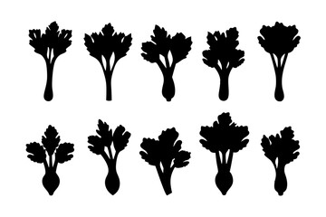 Celery bunch leafy vegetable silhouette set vector illustration