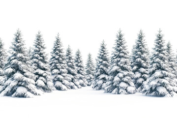 Fototapeta premium Winter Wonderland: Snow Covered Pine Trees in a Serene Forest Landscape