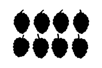 Mulberry fruit minimalist black silhouette collection vector illustration