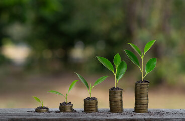 A creative representation of growth, featuring green sprouts emerging from stacked coins, symbolizing financial investment and sustainability.