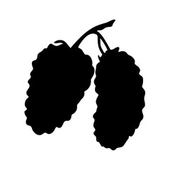 Mulberry fruit silhouette vector illustration