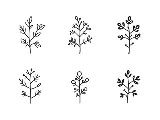 Nerve Plant line art vector illustration