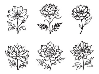 Nymph Blossom line art vector illustration