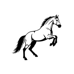 Obraz premium Rearing Majesty: A Black and White Study