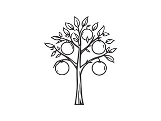 Orange Tree line art vector illustration