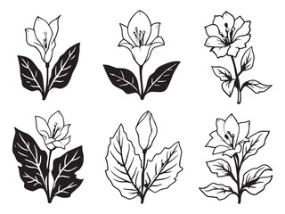 Peace Lily line art vector illustration