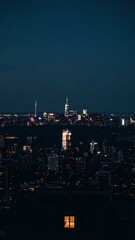 Nighttime City Skyline with Single Glowing Window and Expansive View