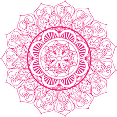 Beautiful flower art and mandala vector design