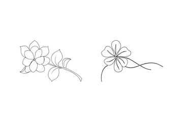 Delicate floral outlines of a flower blossom and a four leaf clover design on white background.