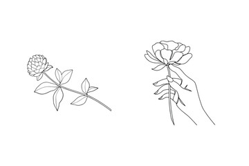 Elegant minimalist black and white floral line art featuring flowers and a graceful hand