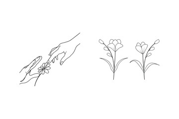 Delicate hand reaching for flower with stylized floral illustrations on white background
