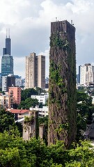 Obraz premium Urban Nature Harmony: Overgrown Trees Embracing City Skyline