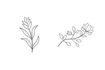 Elegant black and white floral line art design elements for wedding invitations or design projects