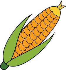 Roasted corn with white background