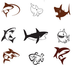 shark 2 coloured vector file