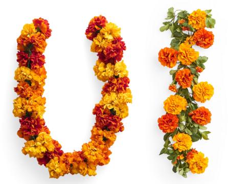 Vertical Garland of Orange Marigold Flowers on a Transparent Background