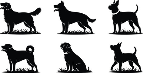 Silhouettes of five different dog breeds in grass