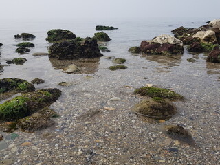 rocks on the beach in the foggy morning, north china